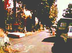 Claremont Road: June 1994 - At peace