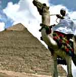 egypt camel and pyramid