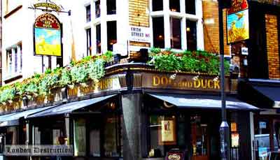 Dog and duck pub, London